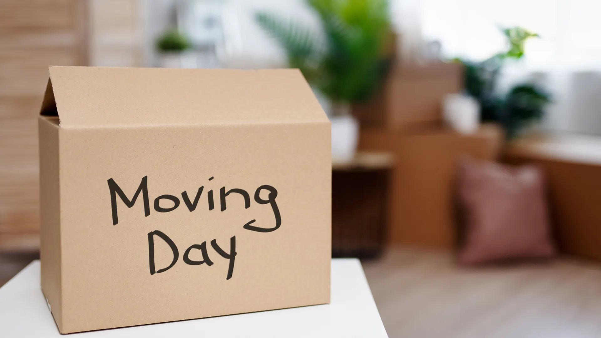 Peak Moving Season Is Around the Corner: How to Prepare With a Checklist